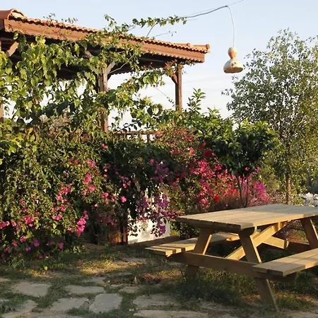 Holiday home Bedya House